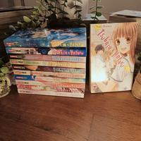 Tsubasa e Hotaru Manga Completo