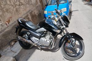 Moto Suzuki inazuma 250
