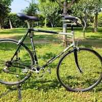 Bici Uomo L Benotto Modelo 800