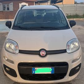 Panda prezzo incredibil!!!