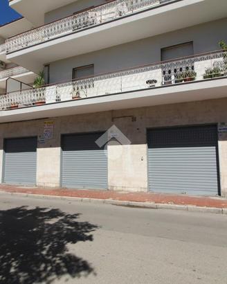 NEGOZIO A CASAGIOVE