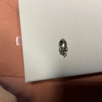 Charm Pandora