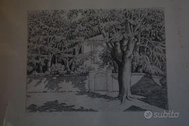 ACQUAFORTE  39/56 DI “ SARTOR ‘83”