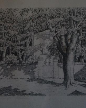 ACQUAFORTE  39/56 DI “ SARTOR ‘83”