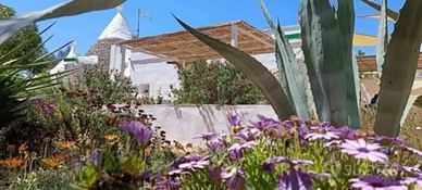 Solo mensile e/o transitorio