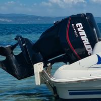 evinrude etec 115