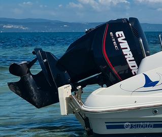 evinrude etec 115
