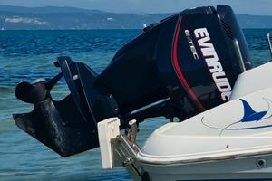 evinrude etec 115