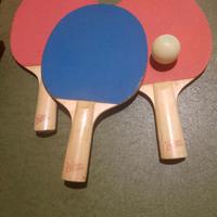 Tennis da tavolo. con palline