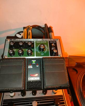 Boss RE20 Space Echo


