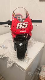 Minimoto polini