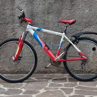 Bici mtb