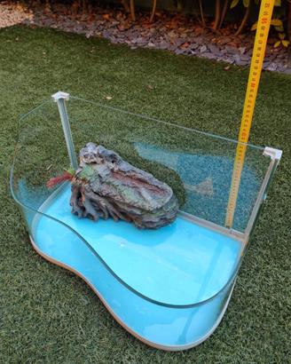 Tartarughiera in vetro