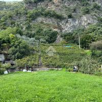 TER. AGRICOLO A BRENO