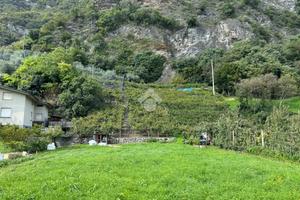 TER. AGRICOLO A BRENO