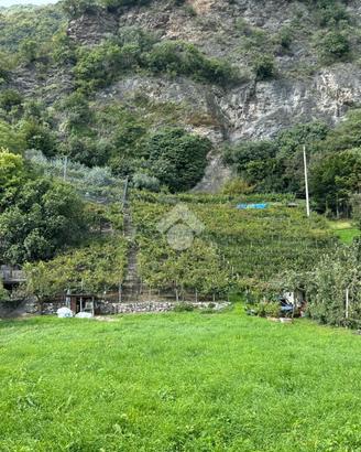 TER. AGRICOLO A BRENO