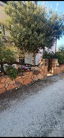 Case vacanza al mare disponibili dal 22/08