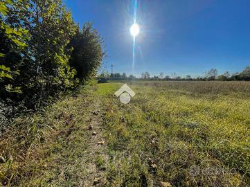 TER. AGRICOLO A LIMENA