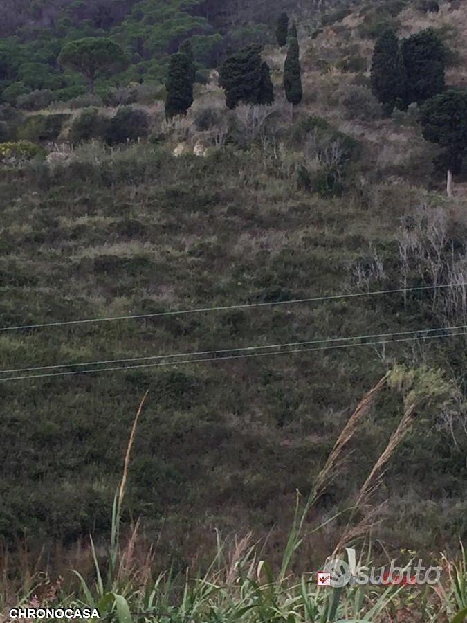 Terreno in contrada Messinese rif. AZO-5025 - Vista 3