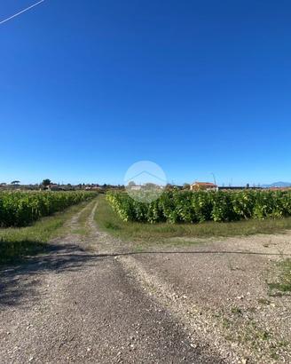 TER. AGRICOLO A CAPACCIO