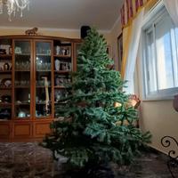 albero di natale cm 180