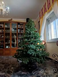 albero di natale cm 180
