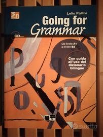 LIBRI DI INGLESE   GOING FOR GRAMMAR