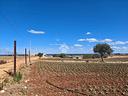 ter-agricolo-a-mola-di-bari