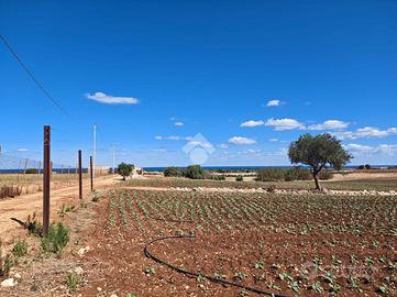 TER. AGRICOLO A MOLA DI BARI