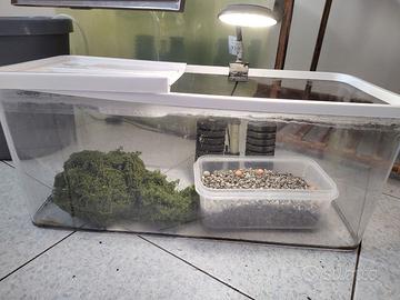 Aquario Aquarium