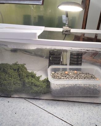 Aquario Aquarium