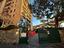 Immagine 26