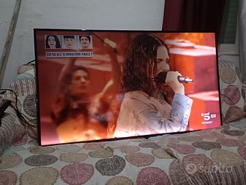 TV 55" e 40"