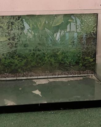 Acquario rettangolare, 45 L,  50x30x30 cm