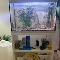 Acquario Askoll Pure XL Marine White