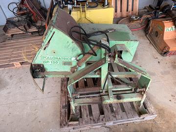 Spollonatrice tamburini sp/150