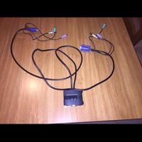 Switch per Collegare Due Pc Insieme