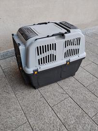 kennel per cani