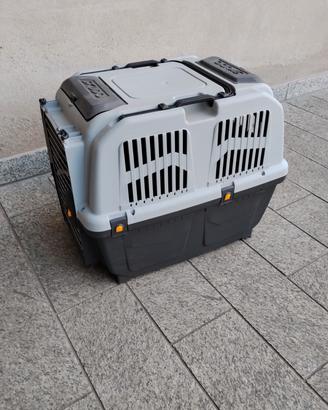 kennel per cani