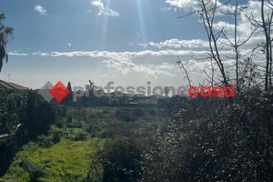 Mascalucia - terreno diversi usi