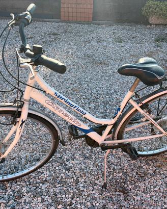 Bicicletta