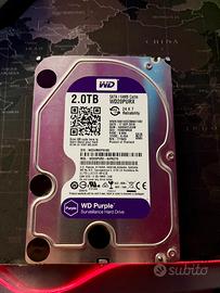 Hard Disk 3,5” Western Digital Wd Purple 2Tb Nvr