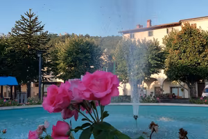 appartamento Pratovecchio (AR)