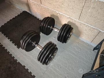 Coppia Manubri 100kg ( 2x50kg ) - Body Solid PRO