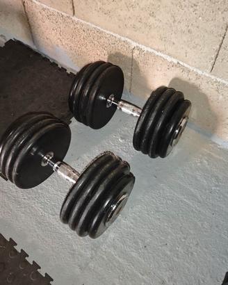 Coppia Manubri 100kg ( 2x50kg ) - Body Solid PRO