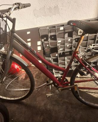 bicicletta 