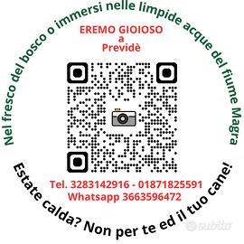 Vacanza con il cane