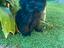 Immagine 3