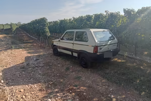 Fiat panda