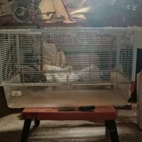 Gabbia per coniglio nano